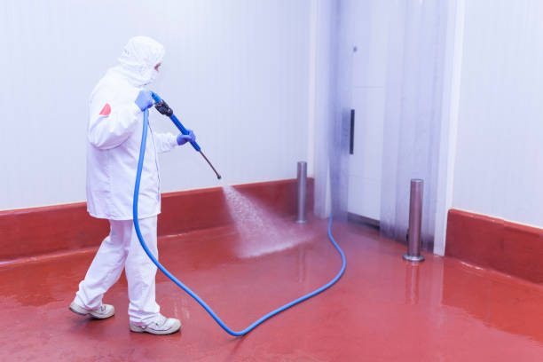 Best Dumpster Area Cleaning  in Rochester, NY