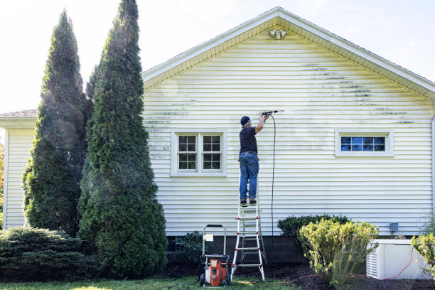 Best Patio and Deck Pressure Washing  in Rochester, NY